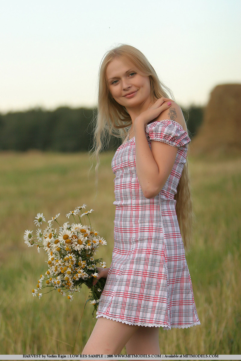 Resting during harvest - Pic #6