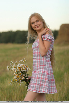 Resting during harvest - Pic #04
