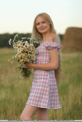 Resting during harvest - Pic #05