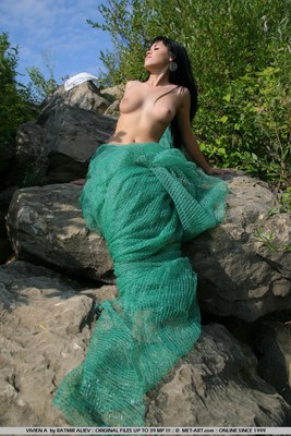 On the way to the picnic - Pic #13