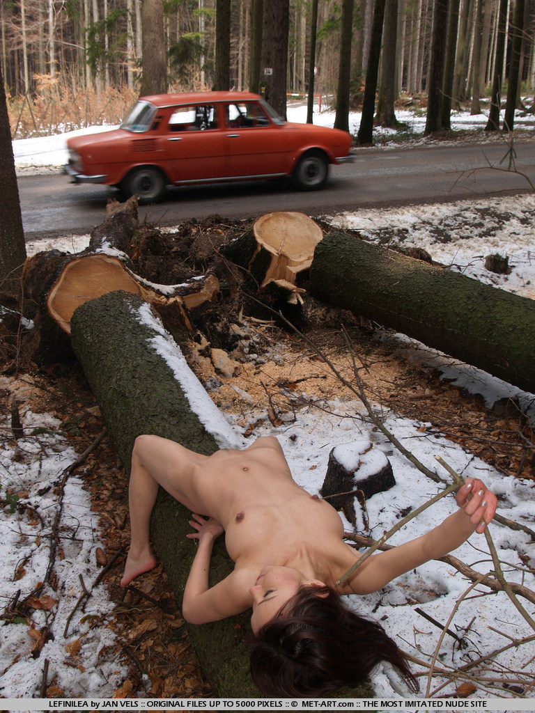 Country Side Exhibitionist - Pic #0