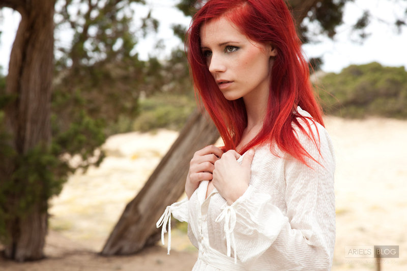 Ariel - No entry - Pic #6