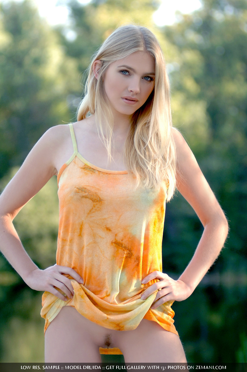 Druida For Zemani - Pic #20